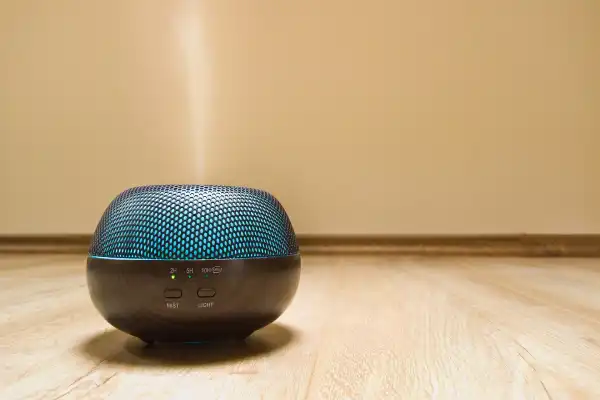 Are Air Fresheners Toxic to Breathe?